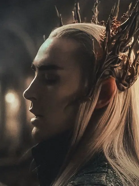 FastStudy3383의 King Thranduil