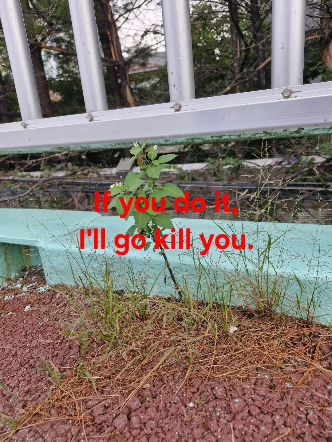 JoyfulGlass1294의 로블록스 시안이된 기어들