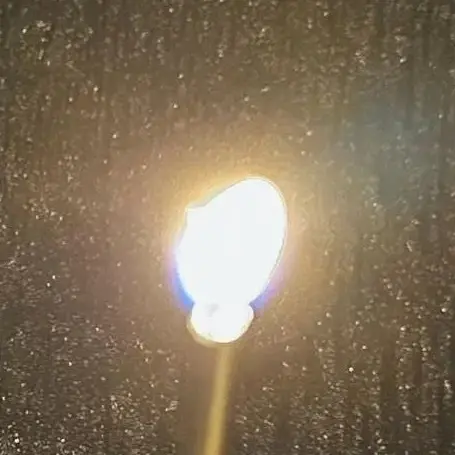 DemureBread2799의 권지용