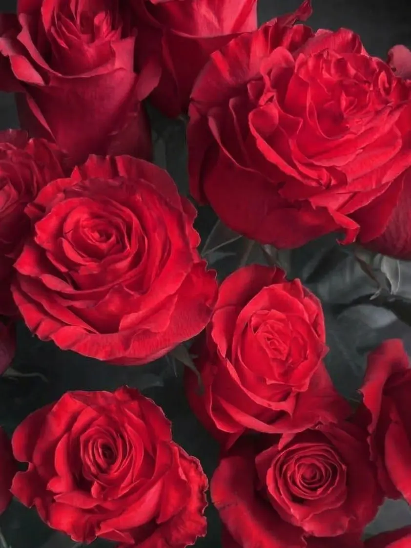 red_h_r_t의 ❤️