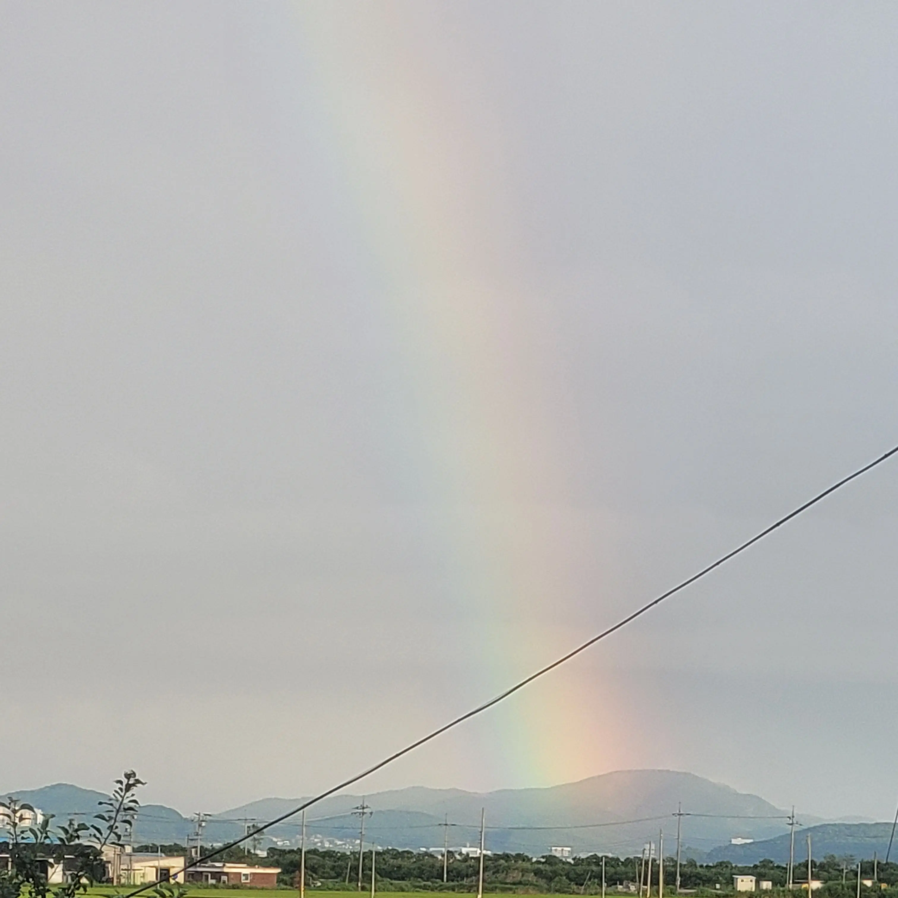 PineappleY의 아줌마와 초딩