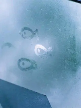 WindyMole9043의 우리 같이 도망가자