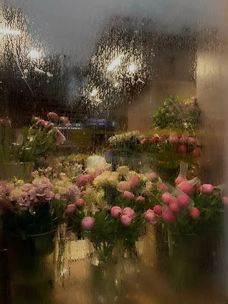 paradise_0000의 코마