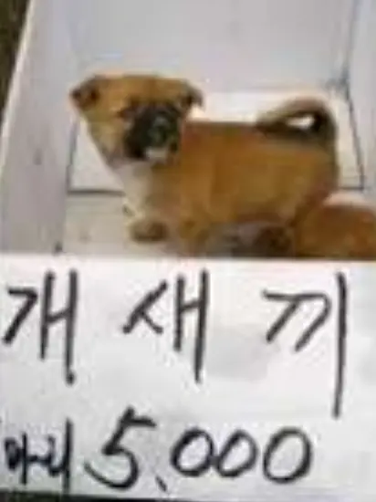 ABCDQWER_12321의 쿠키밀크 제국.