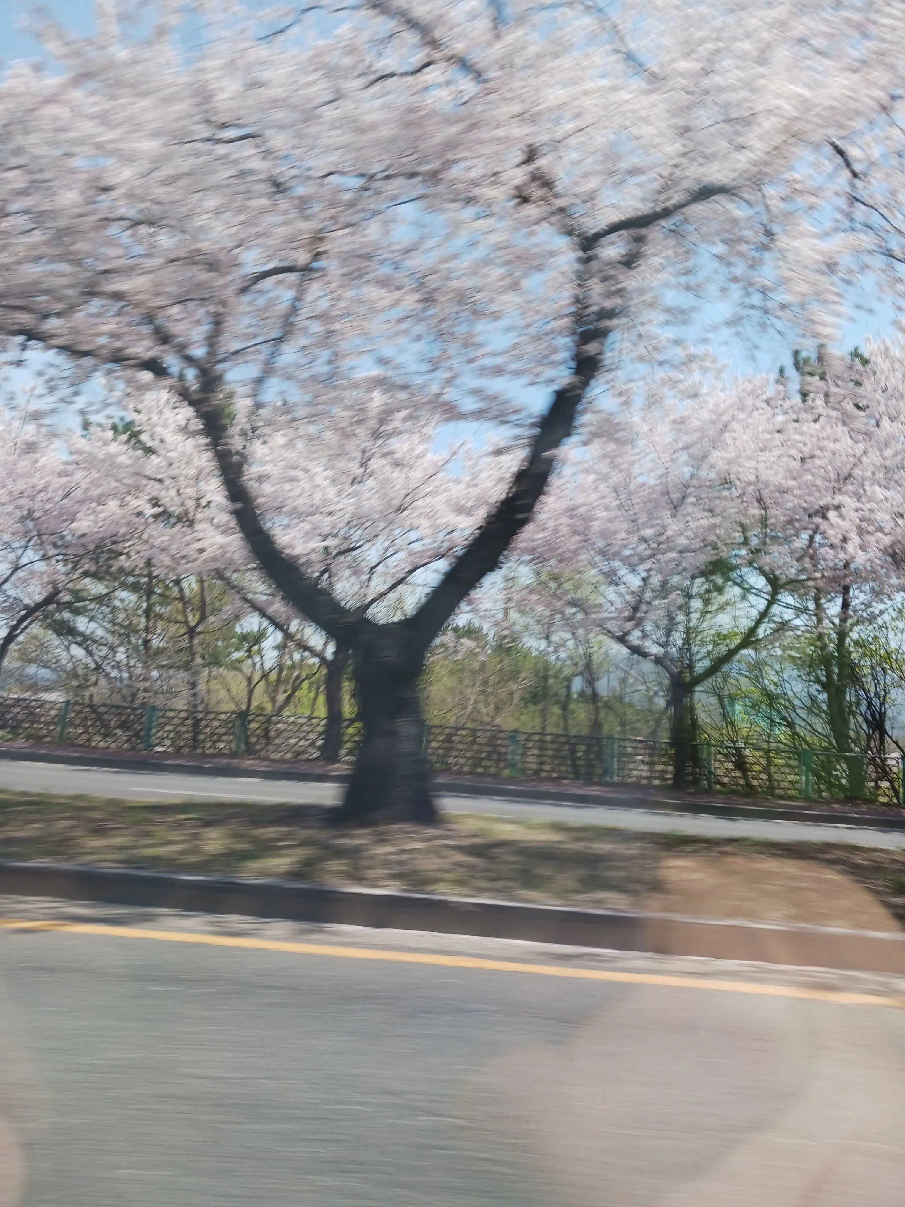 Peoplewhofindcreatingchara의 대저택 수학여행ㅇㅇㅇ