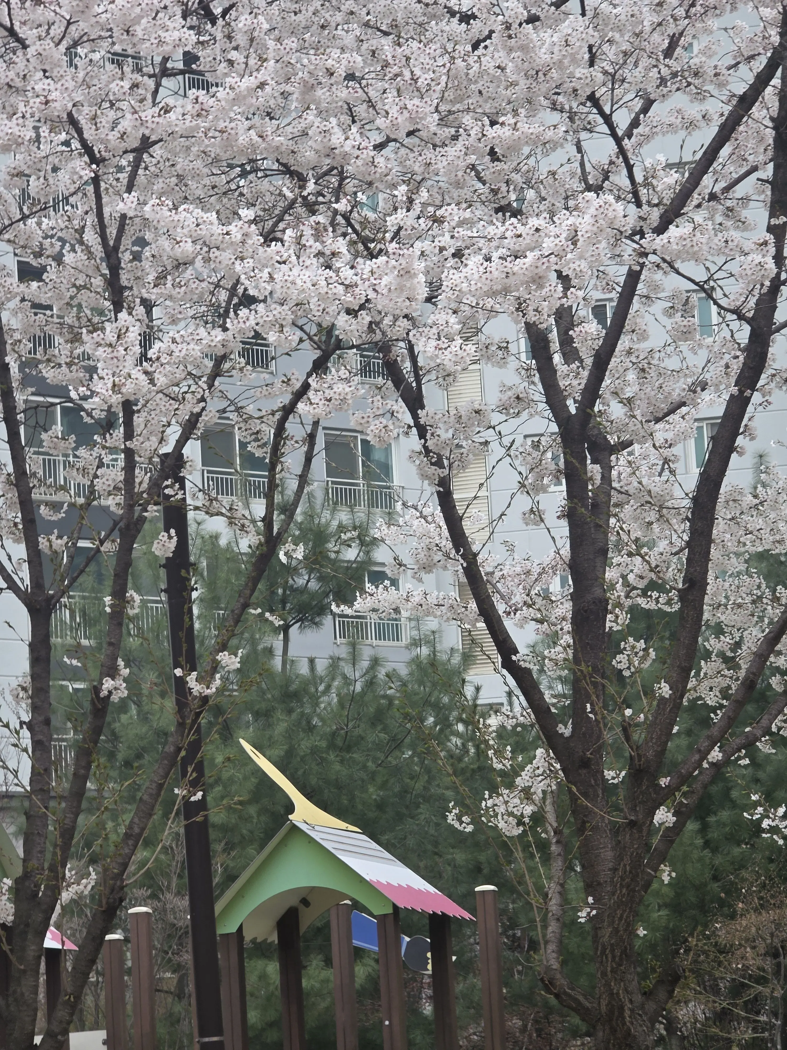 SoggyTrack2732의 모범택시×여우×늑대×로맨스!