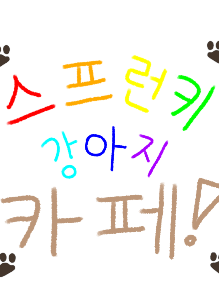 스프런키 강아지 카페! 대표 이미지