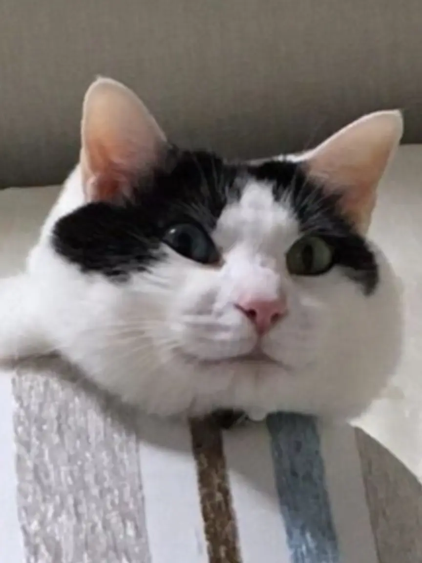 222222222222222의 6年1組