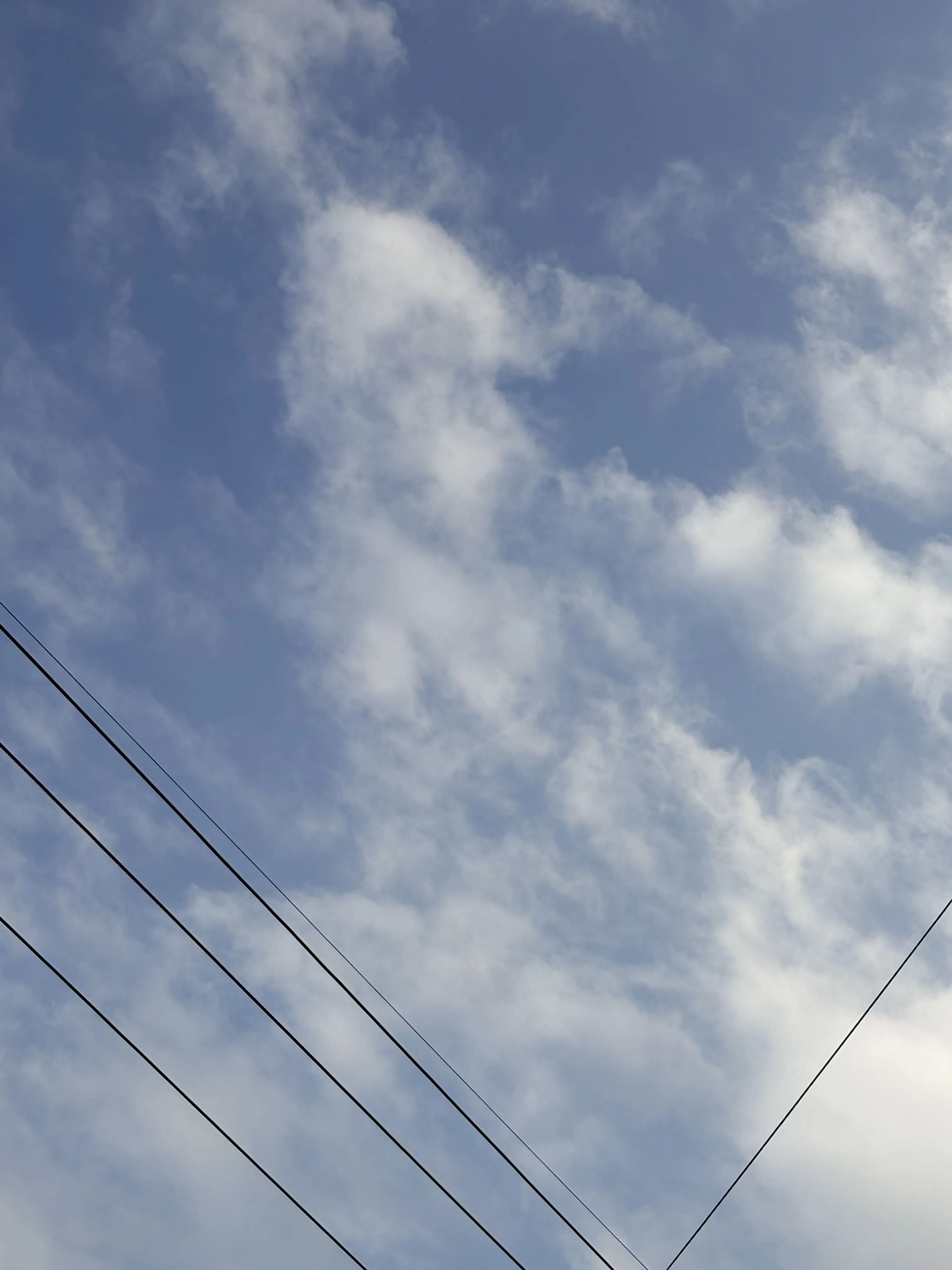 CARAT_NEW_WOOZI의 이 감정은 뭐야? 너에게만 느끼는데.