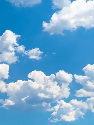 skerrrrrrrrrr의 금쪽같은 수인 친구들