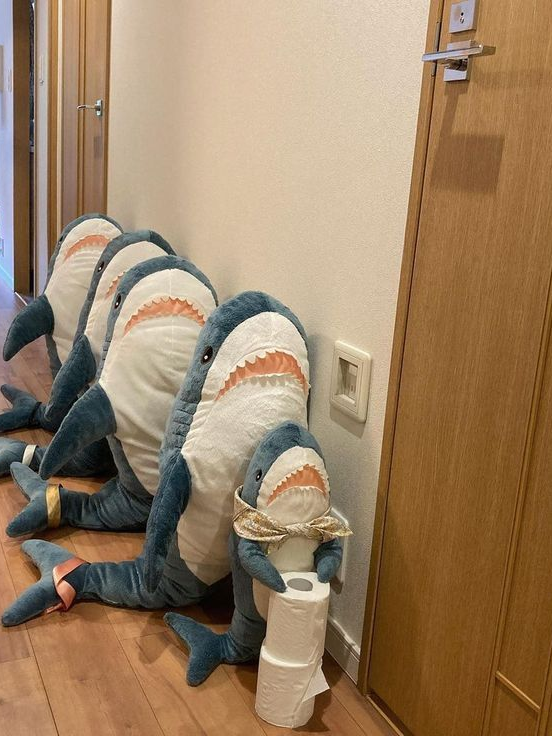 메탈카드봇과 학교를 다닌다?!!!!! 대표 이미지