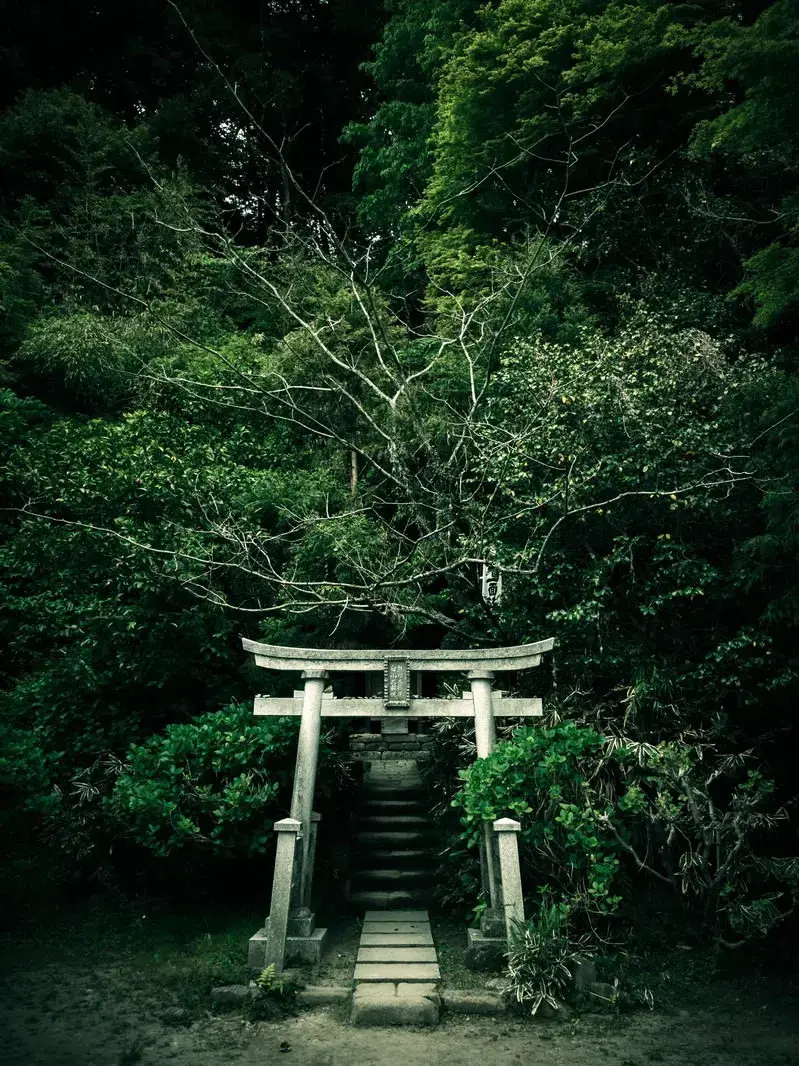 o_yovoy_o의 生贄の捧げ方、命の喰べ方