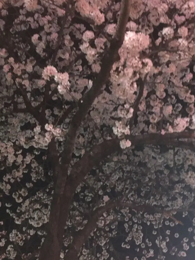 zrzrzr의 一場春夢