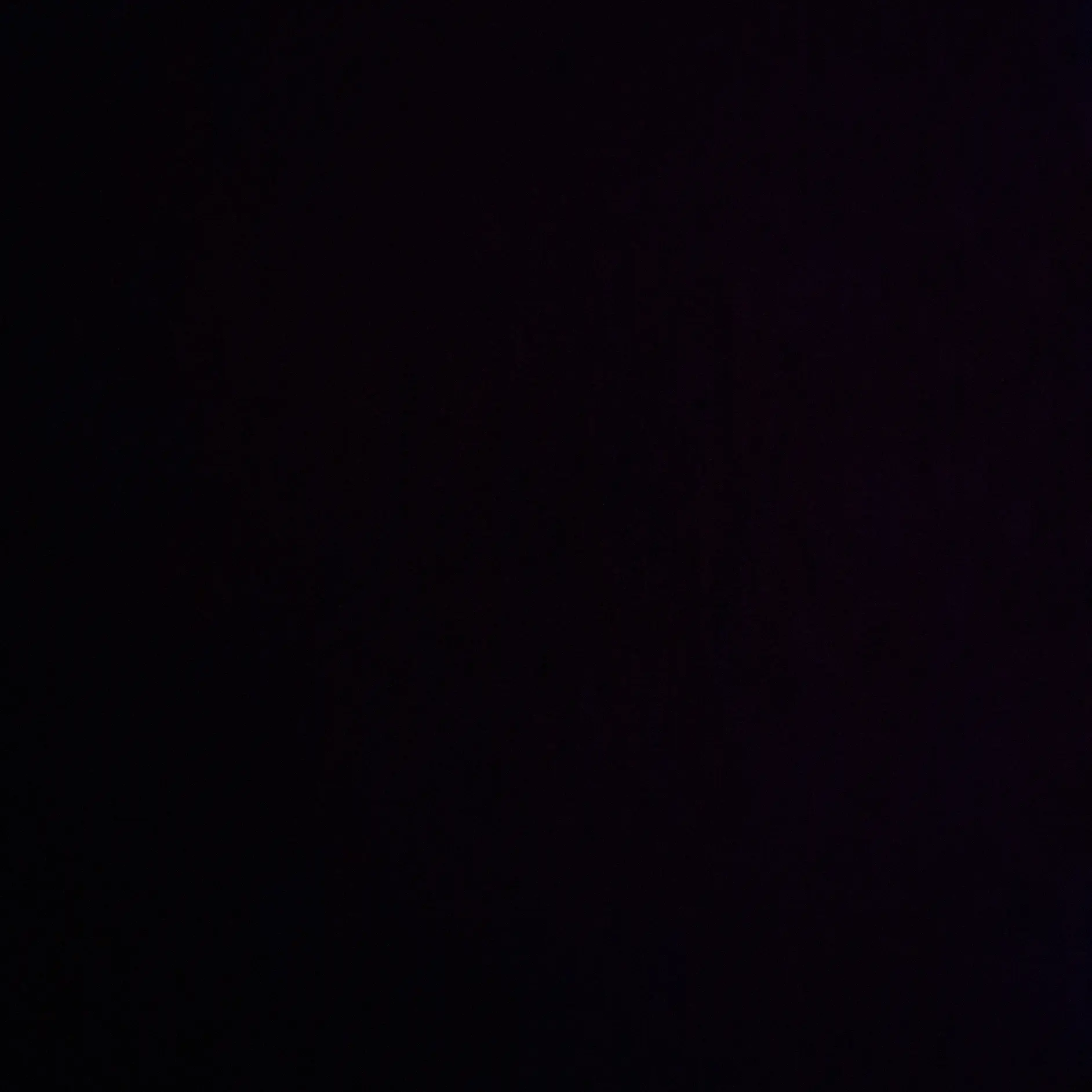 YoungHawk0555의 최립우