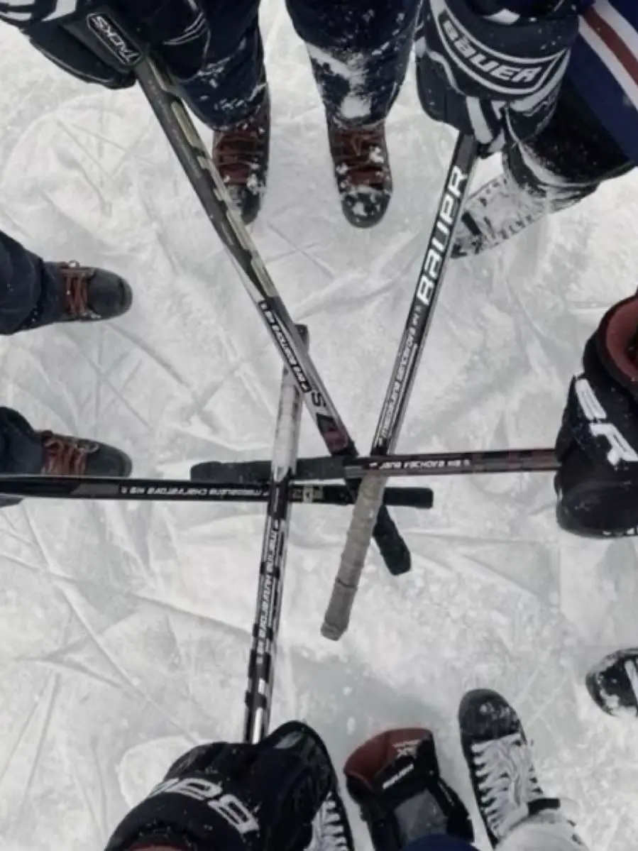 SpikyTick3301의 Your Obsessed hockey team