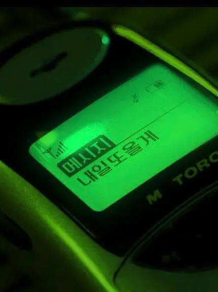 UntidyEmber0860의 공룡