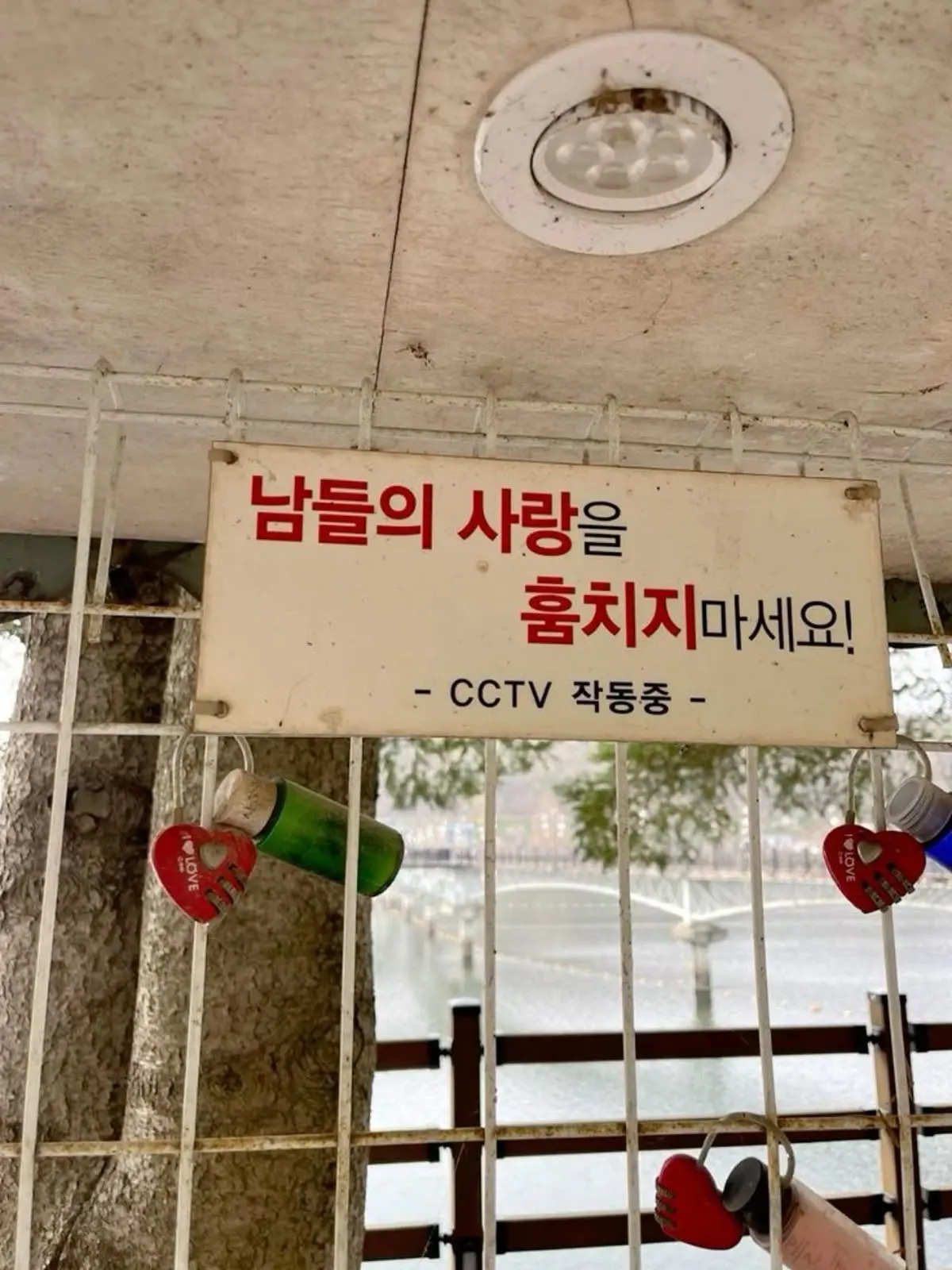 T1209의 검은 머리 짐승은 키우는 게 아니다