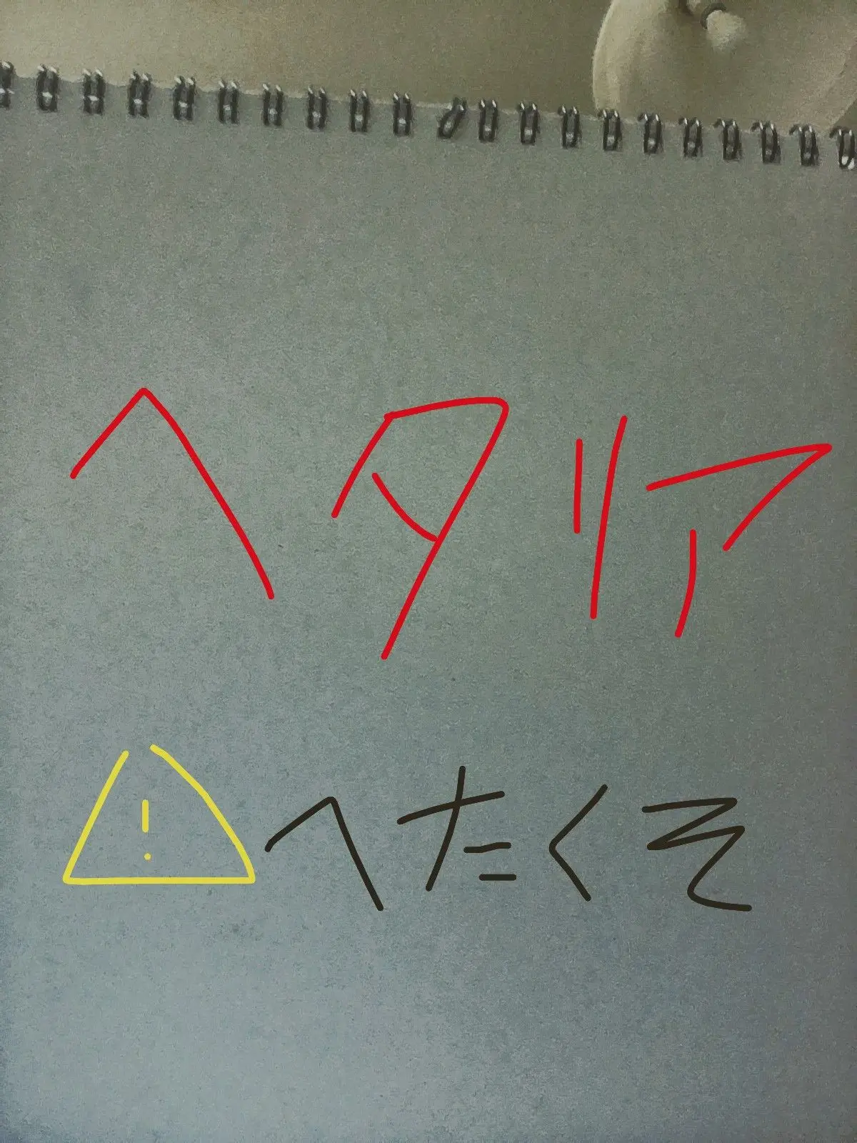 SnowyRice0993의 なぞの双子？