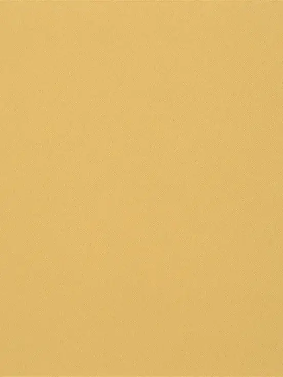 TimidRipe8911의 こいつを分からせます。