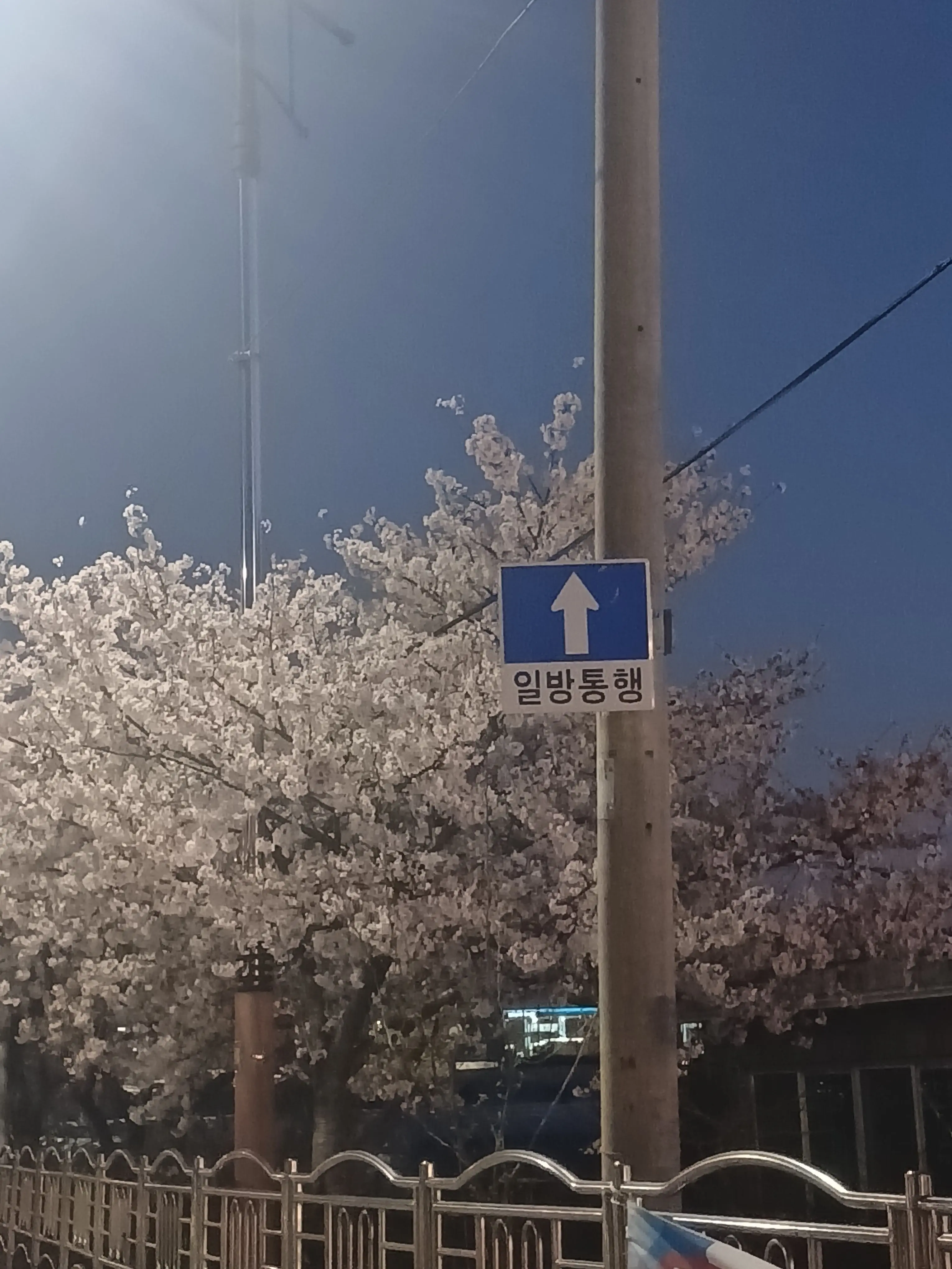 ehdgh_1123의 틀팁고등학교3