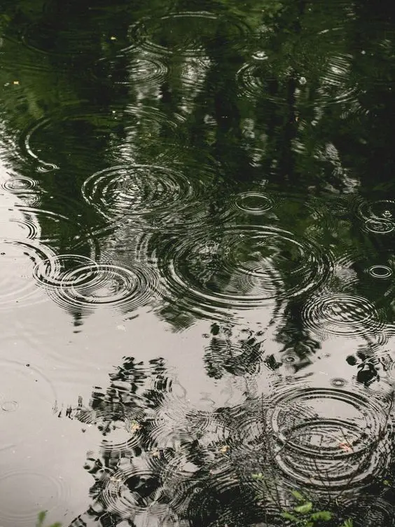 tobehappy의 빗물에 나 너를 떠나 보내고