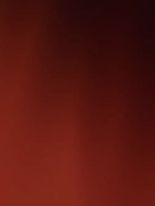 upset_smile의 데드아이 + 여우 3마리