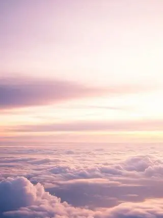 namamugichan의 売られましたが何か