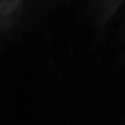 onepiece23의 흰해단(재업)