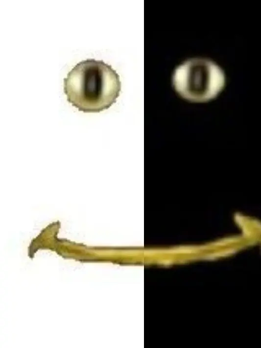 real-lime의 밥&롭