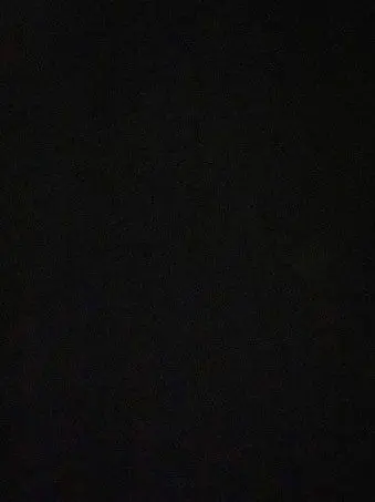 RigidSnow4468의 자백의 대가