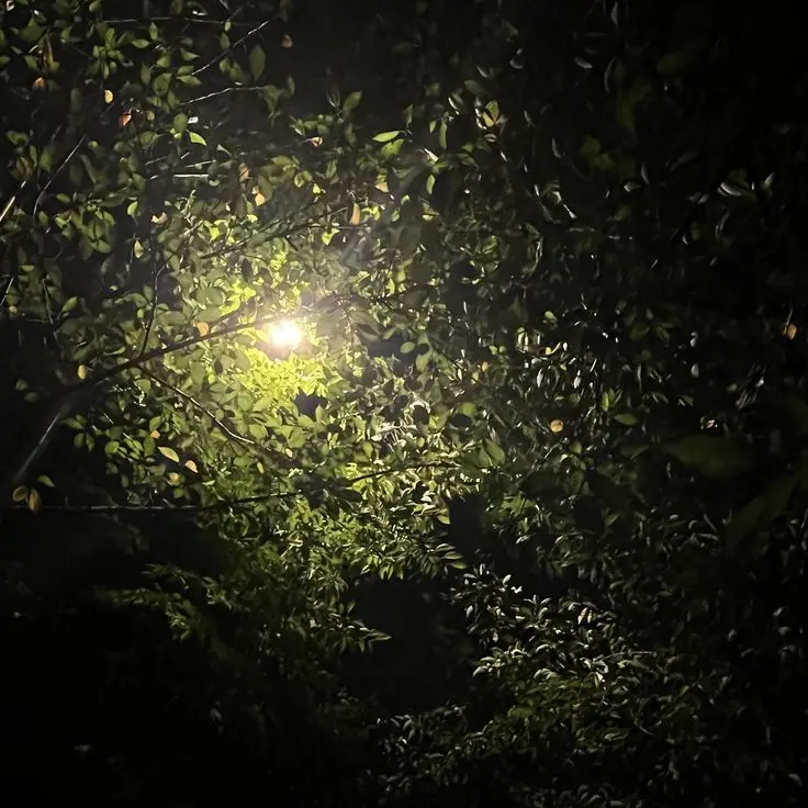 Yejin0511의 엔시티