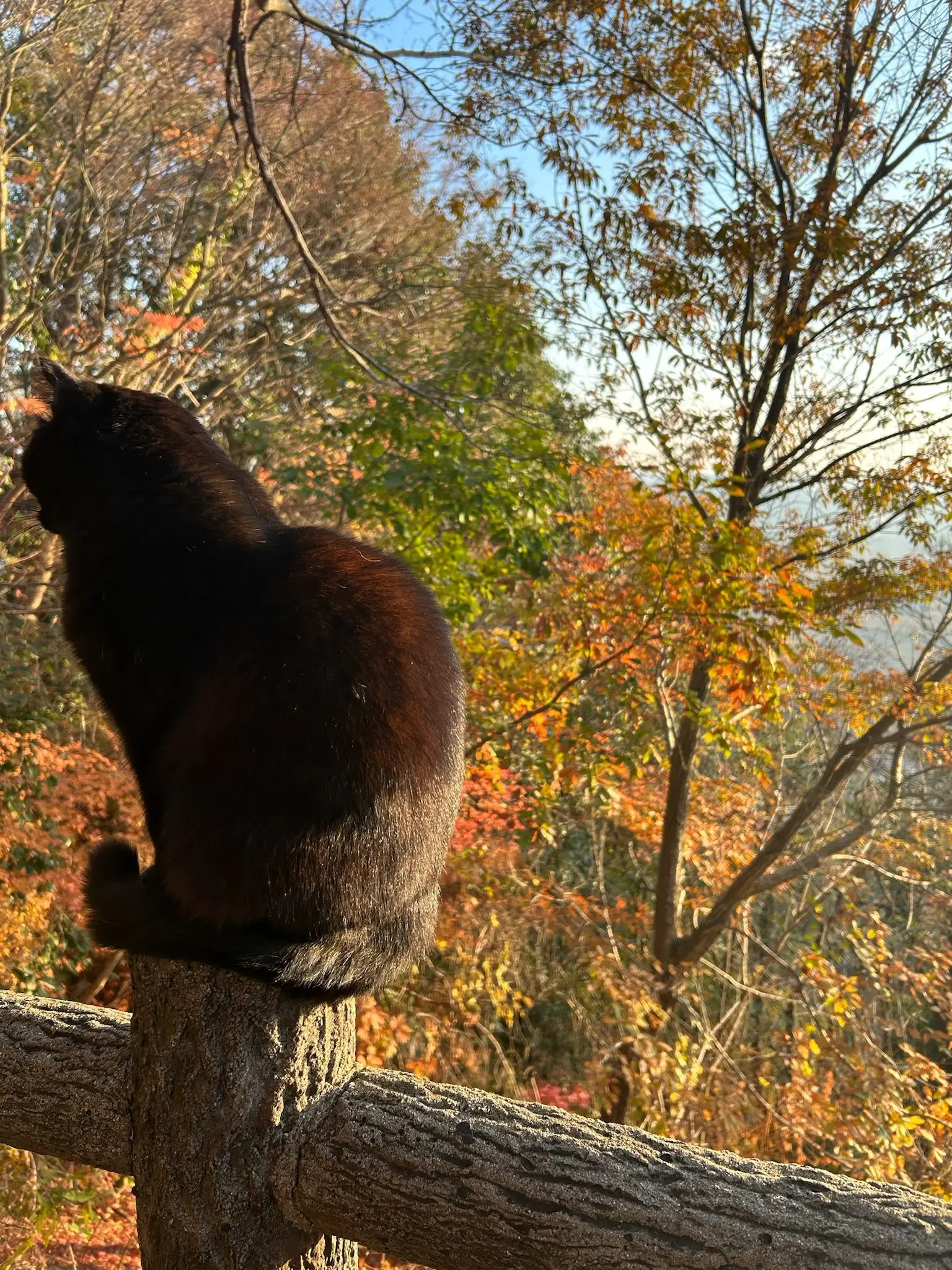 PoliteWiper2048의 何度でも何度でも塗りつぶして