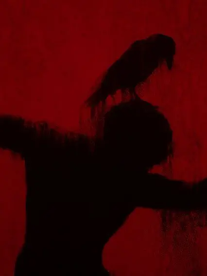 OaoaoOOooO의 이곳은 환상과 꿈이 가득한 곳