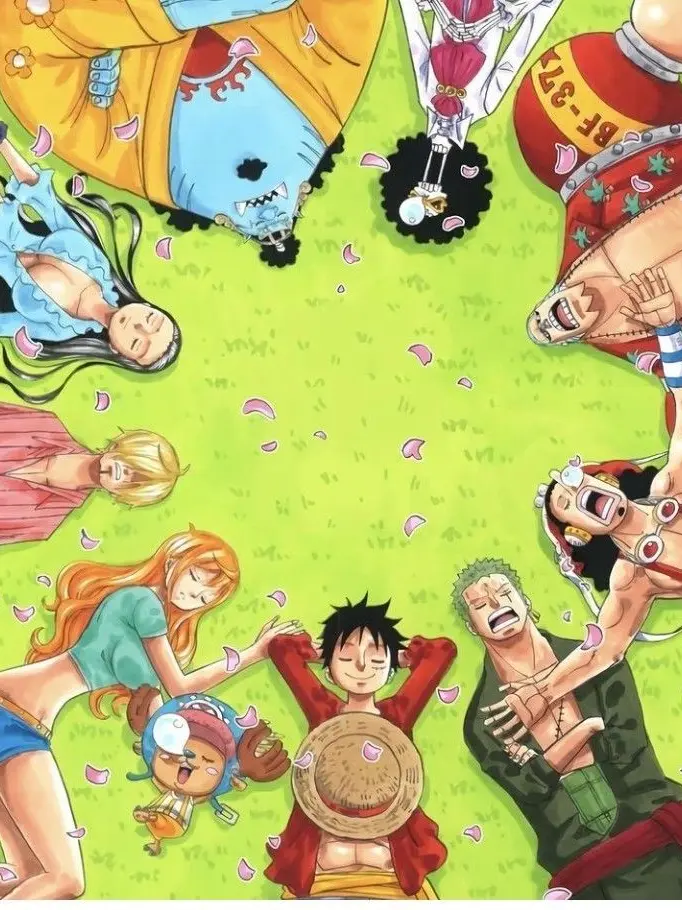 RoomyQuake5370의 Strawhat pirates