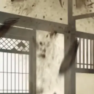 Keidoumyaku22의 自己満もよん