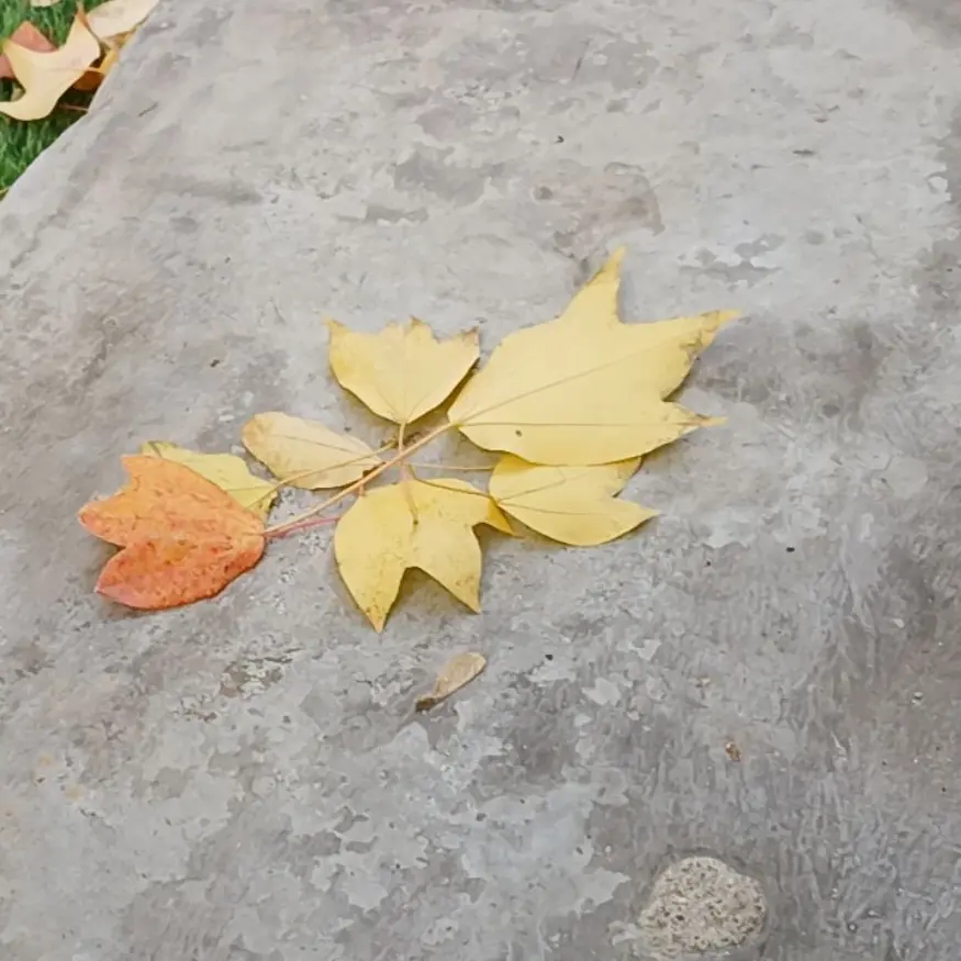 WetSun0370의 주들