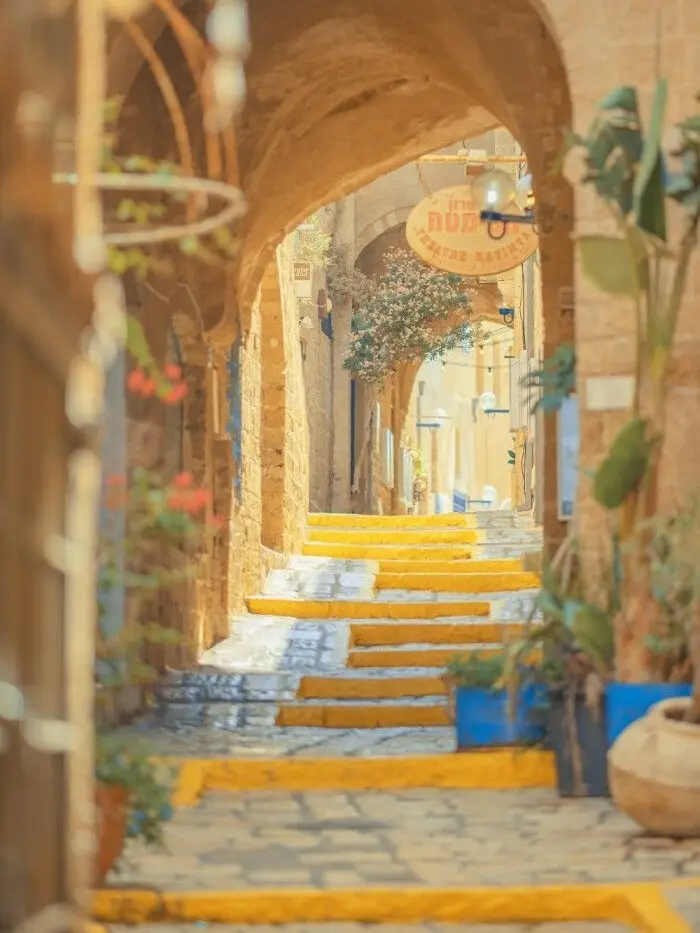 LeanerFez7723의 다파학 덕프🌻