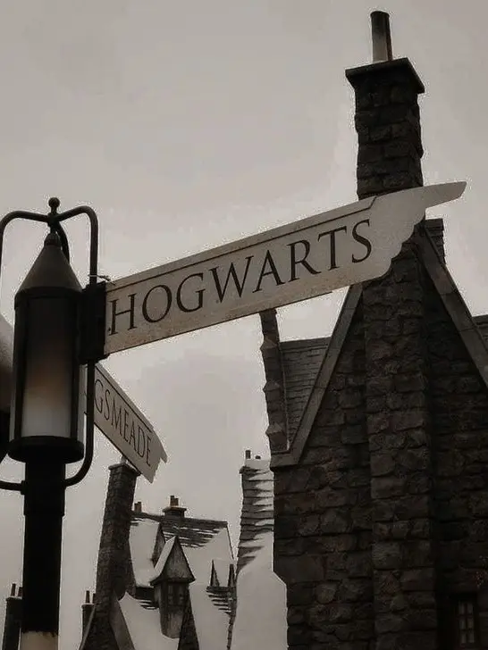 BrassyYear9731의 Hogwarts