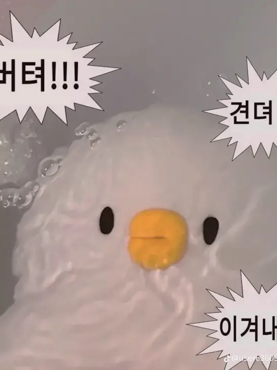 비스트&에이션트 (아이돌) 대표 이미지