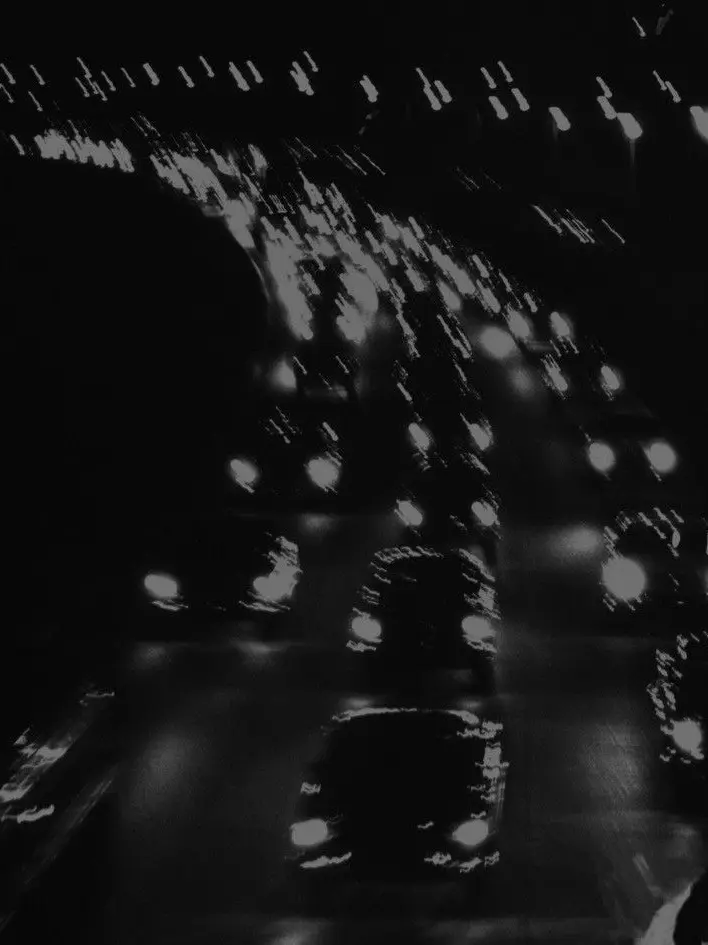 BumpyPlume0412의 조폭남매