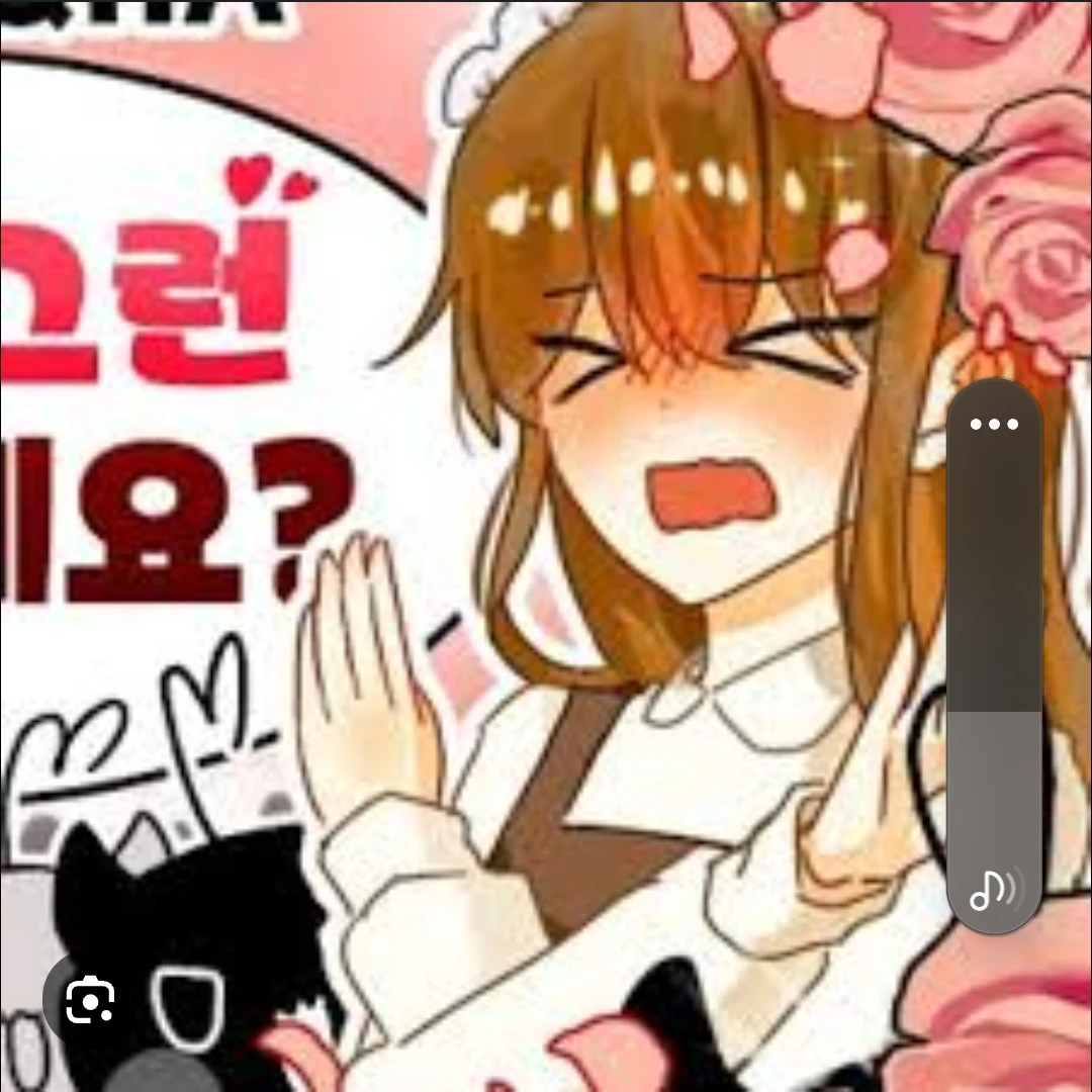 둘기