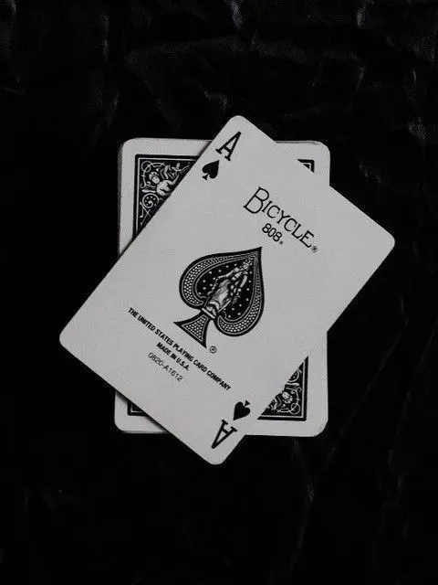 djdkl의 오늘의 보물은...