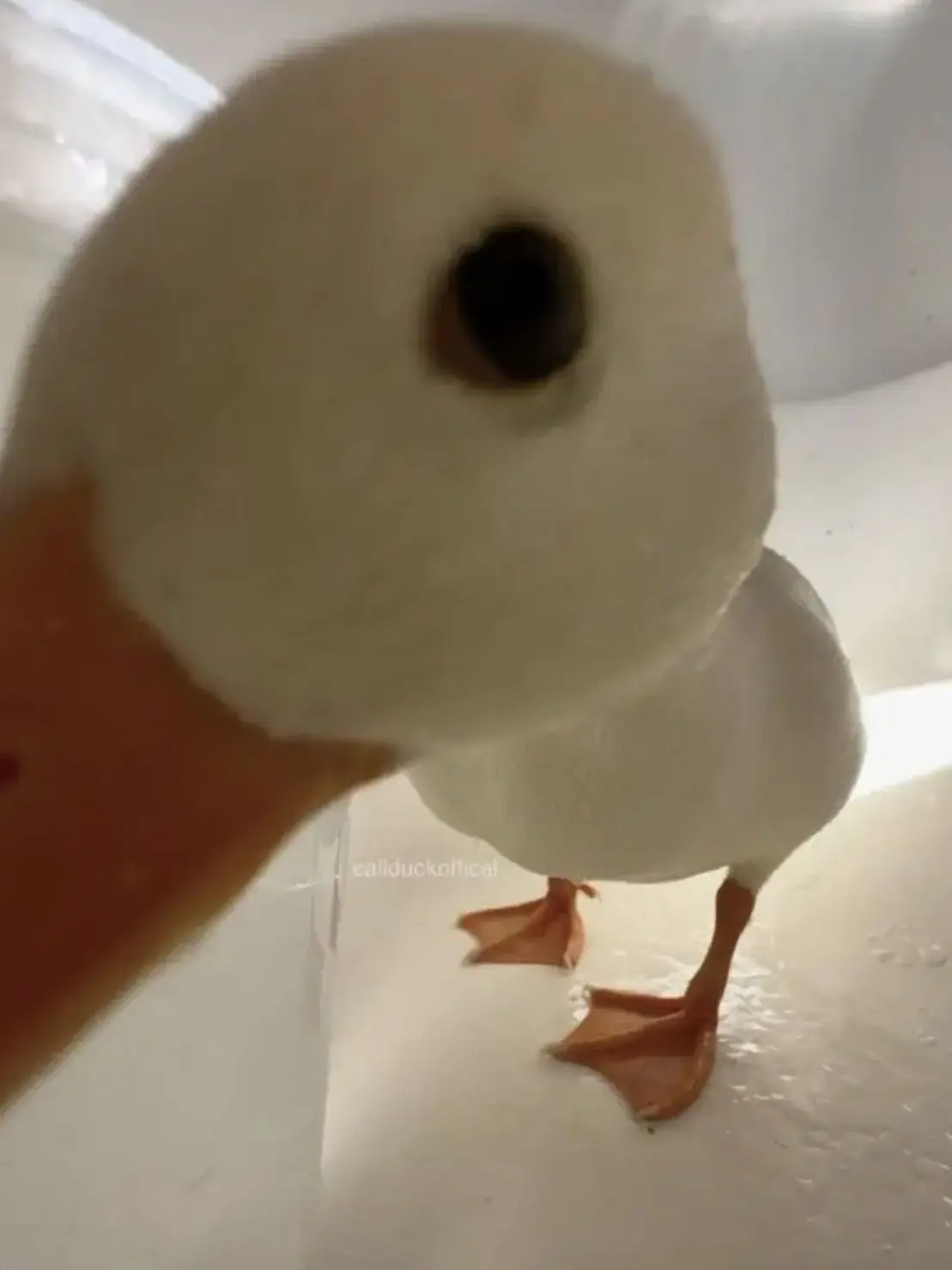 UntidyBee2035의 내만족용개인용!!!