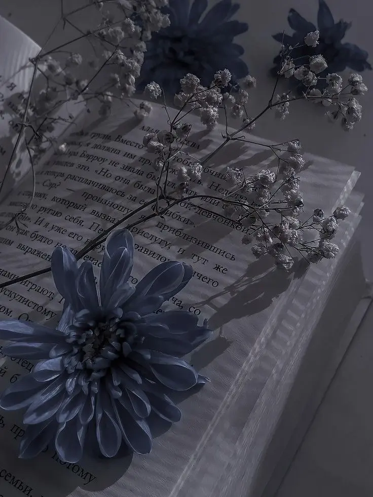 LameSound8374의 ♡