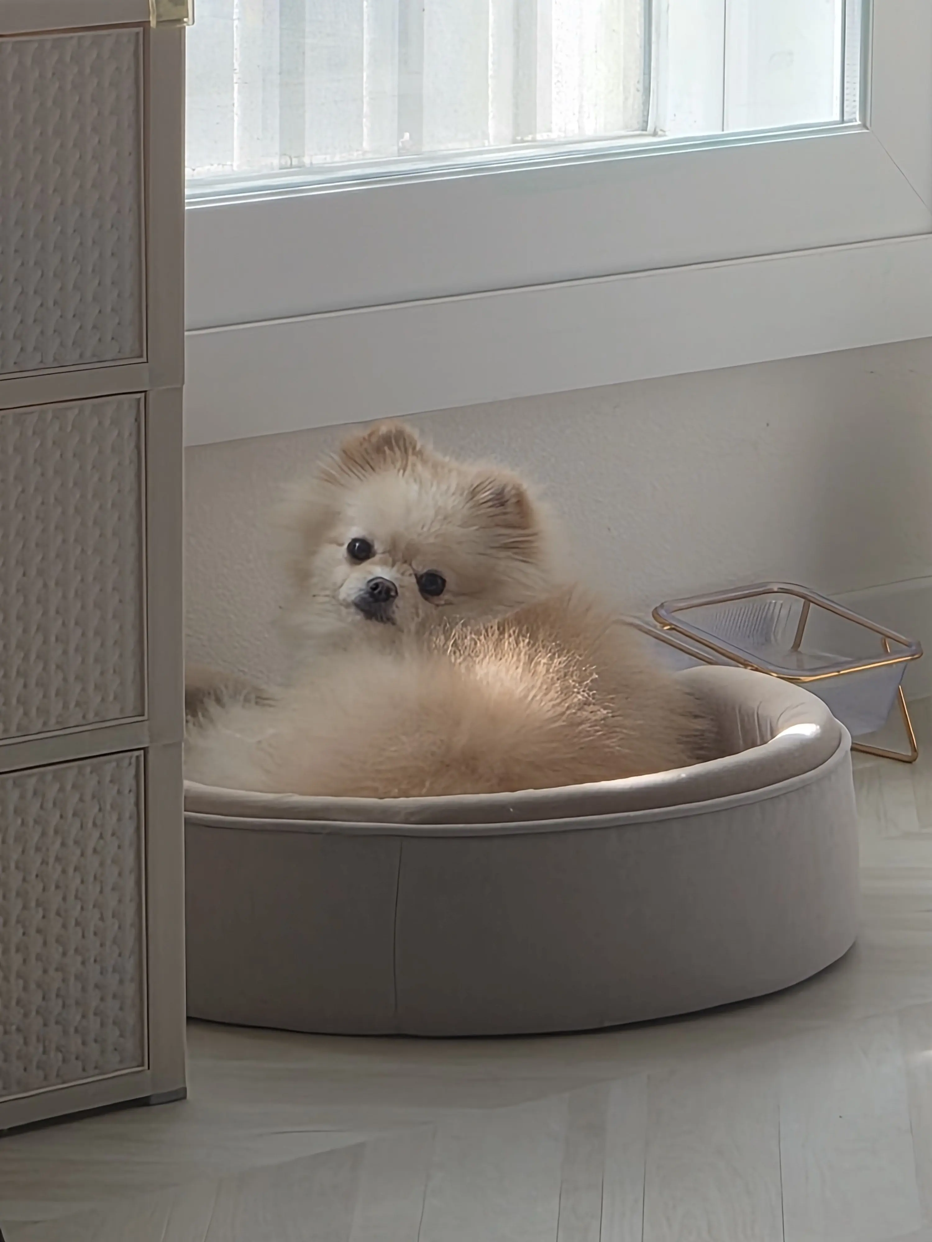 SoggyShow7564의 싸이코드가 다 아프다!?!??!