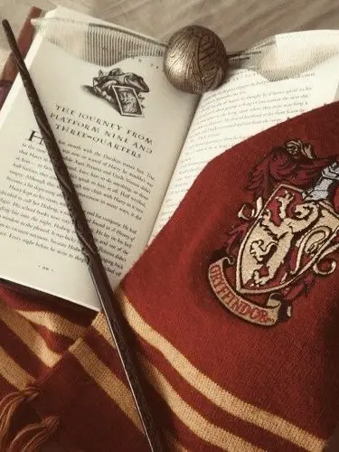 anything_hp의 HarryMione