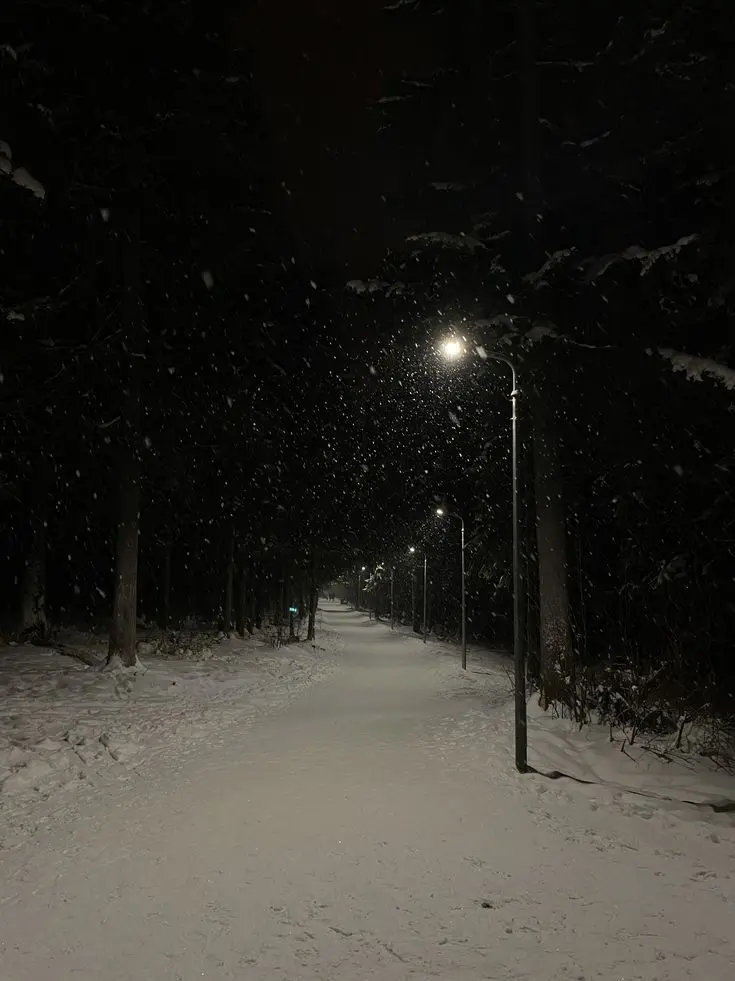 White_yew의 가장 아꼈던 나의 후배에게