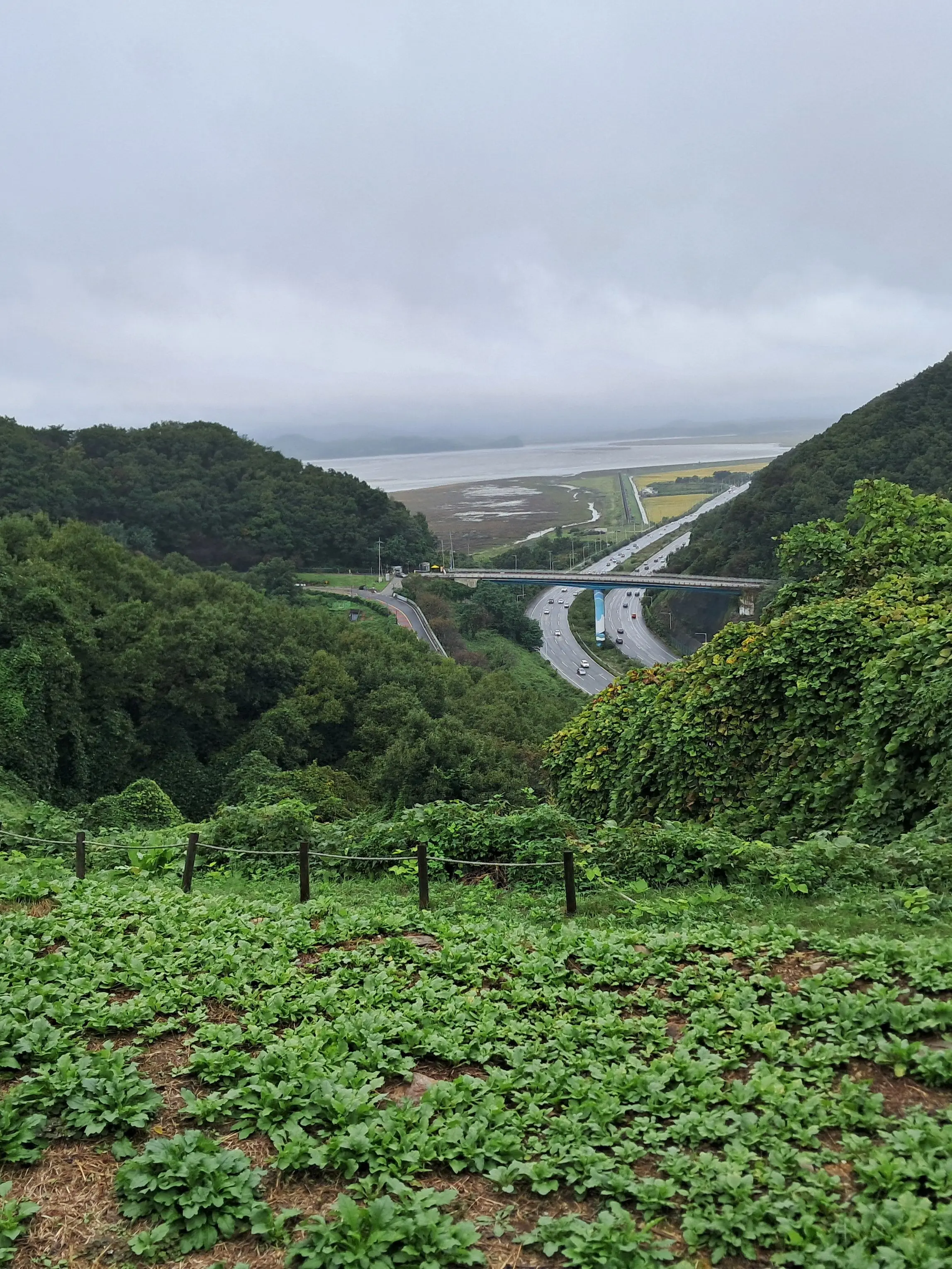 042213의 (여)센세