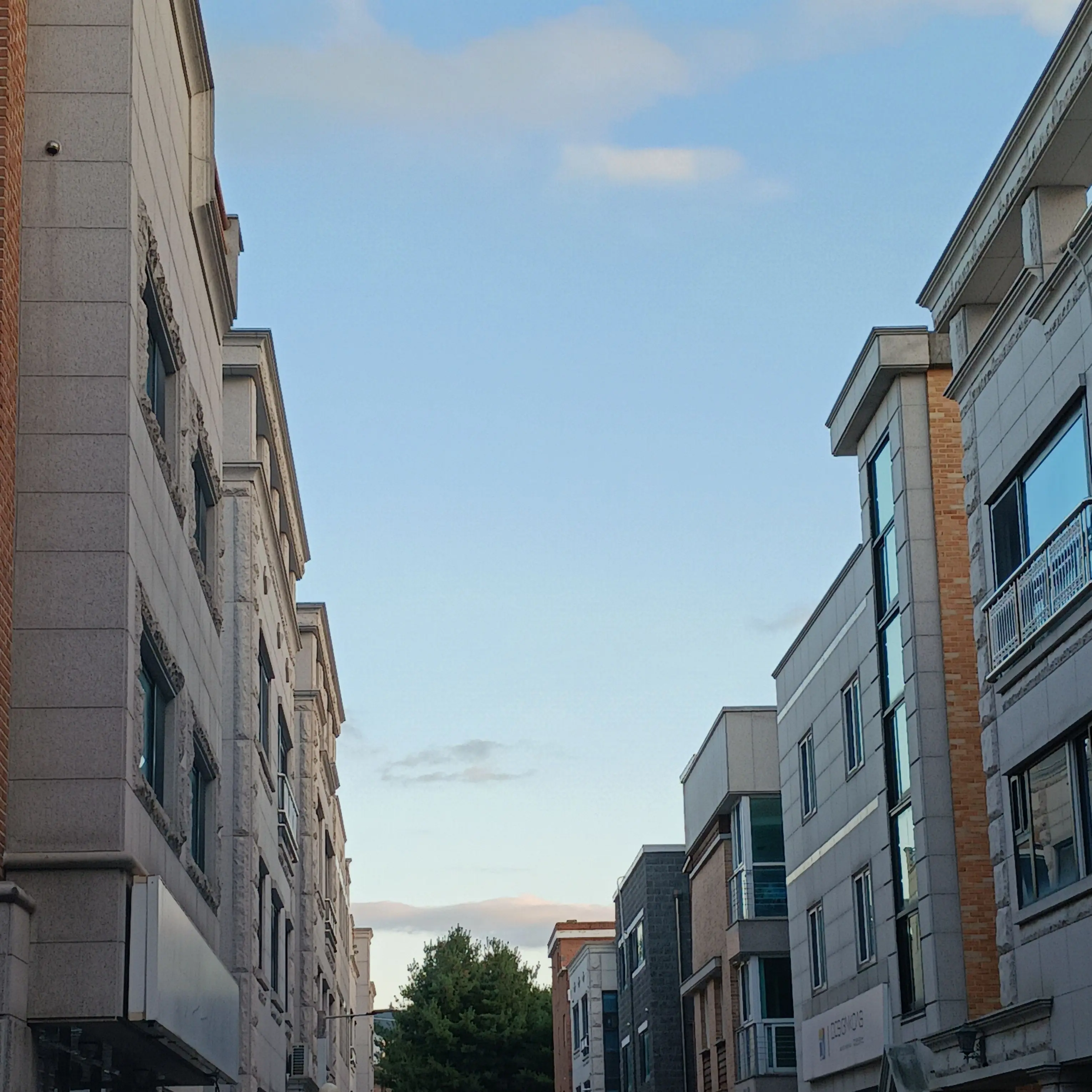 hiru_yeonhi의 발렌타인 데이, 고백 작전