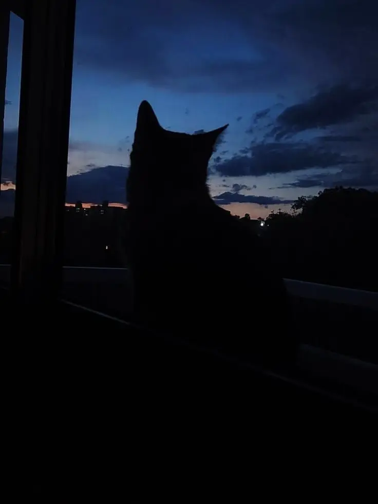 dazai_Love8-10의 猫の恩返し